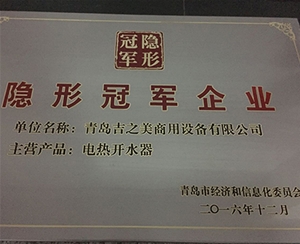 隐形冠军