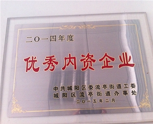 优秀内资企业