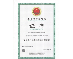 安全生产标准化证书(1)